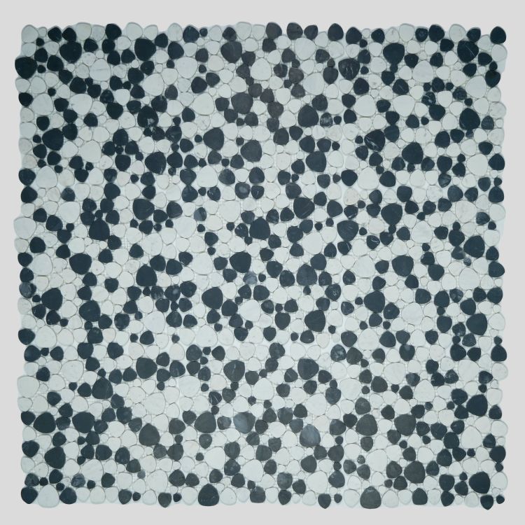 Aphrodite Panda Honed 12 x 12